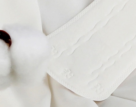 Perfect Match for Menopausal Women: Bulk Panty Liners