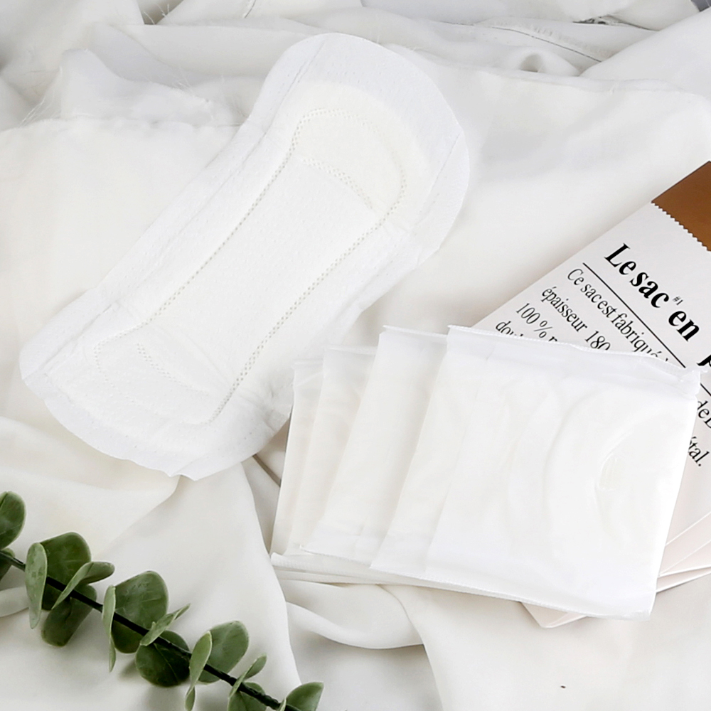 /uploads/image/2025/03/13/banner.jpg banner.jpg