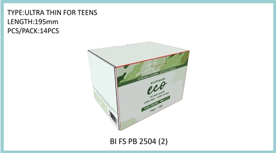 BI FS PB 2504 (2)