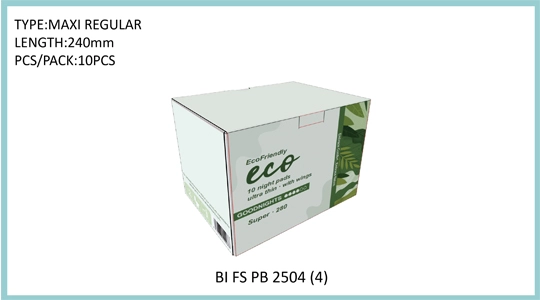 BI FS PB 2504 (4)